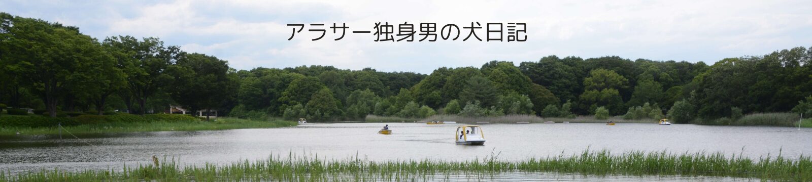 アラサー独身男の犬日記